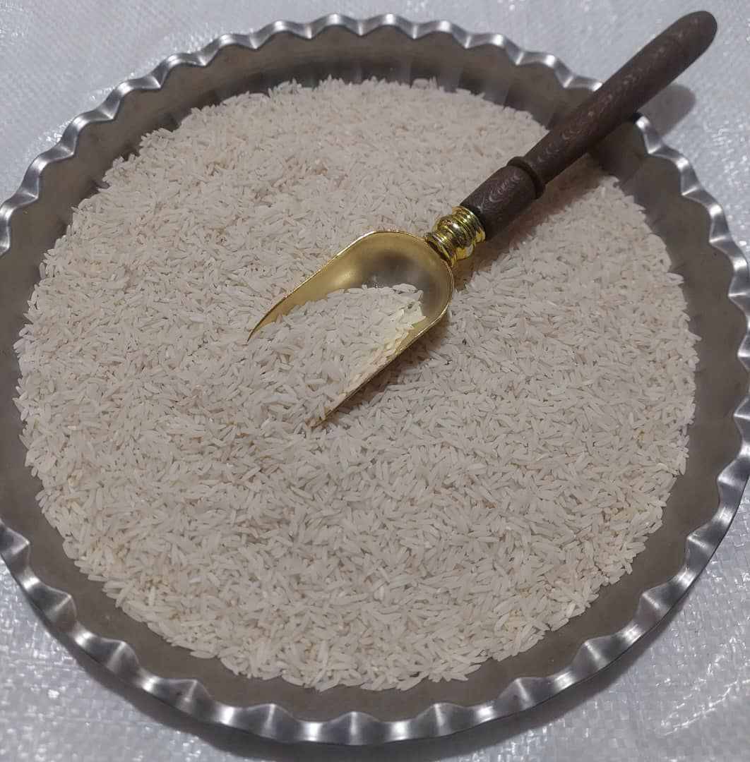 برنج محلی مینو دشت